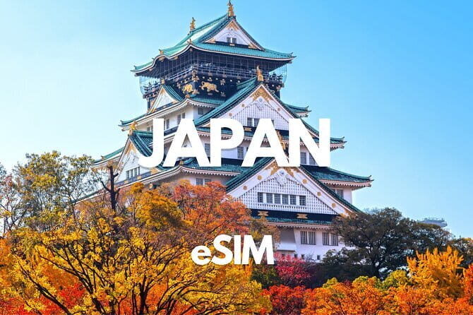 Hiroshima Night Tour: Craft Beer and Local Bites - Who should book this Hiroshima craft beer night tour