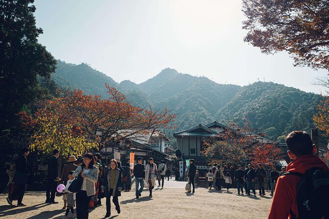 Hiroshima Private Customizable Half Day Tour - Reservations and bookings: why this is more than “show me around”