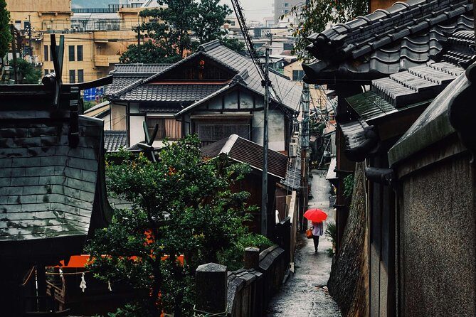 Hiroshima Private Customizable Half Day Tour - Getting around Hiroshima during your tour