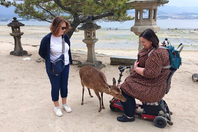Hiroshima Private Tour: Best Highlights in a Day - Miyajima Omotesando Shopping Street: Snacks, Deer, and Easy Souvenir Stops