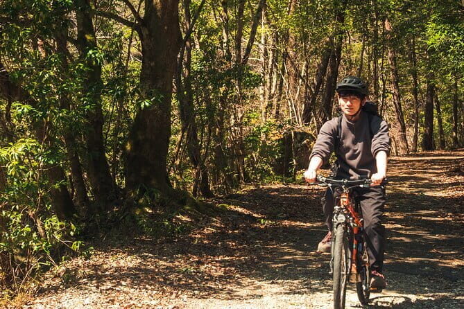 Hiroshima: Private Walking Tour with a Local - Price and value: paying $82 for a private conversation
