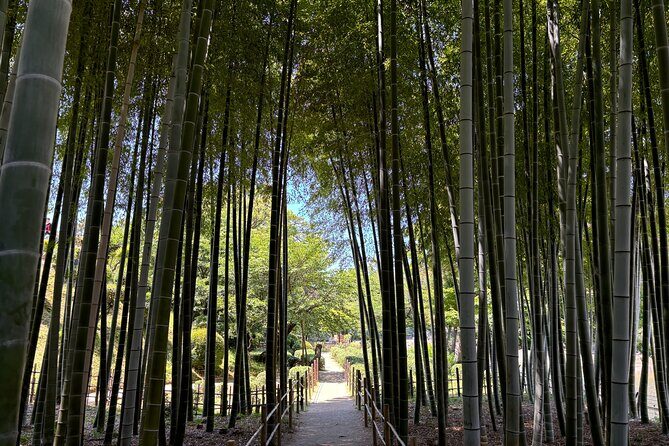 Hiroshima’s Heart: A 4-Hour Private Storytelling Walk - Peace Memorial Museum: When You Want the Extra Clarity