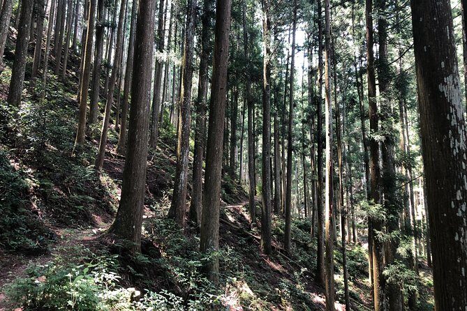 Historic and Natural Guided Hike in Yoshino - Hanayagura: A Stop That Adds Meaning Beyond the Main Temple
