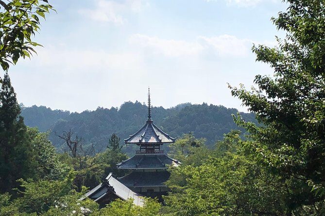 Historic and Natural Guided Hike in Yoshino - Pace, Fitness, and Gear: How to Make the Day Comfortable