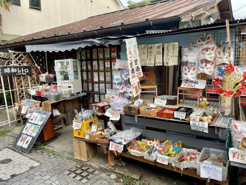 Historic Town of Kawagoe – Small town of Edo 3h Walking Tour - Practical tips so your day trip stays fun