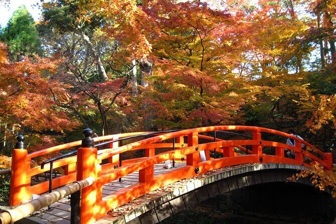 Historical Kyoto E-Bike Tour - The ride itself: how the e-bike experience really feels