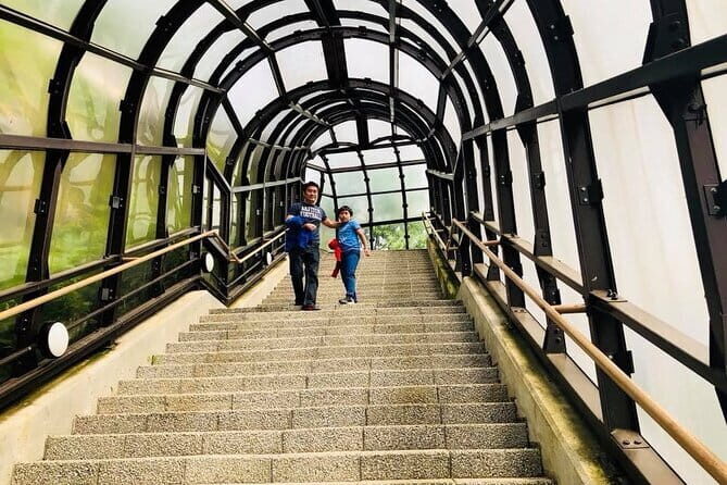 Hokkaido Asahiyama Zoo and Blue Pond Elf Terrace Day Trip - Asahiyama Zoo: Northern Hokkaido’s Best Winter-Era Zoo Visit