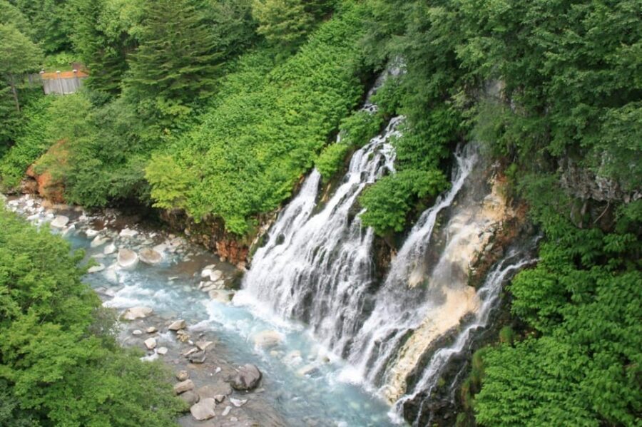 Hokkaido Asahiyama Zoo& Biei Blue pond Tour with Local Guide - Should you book this tour?