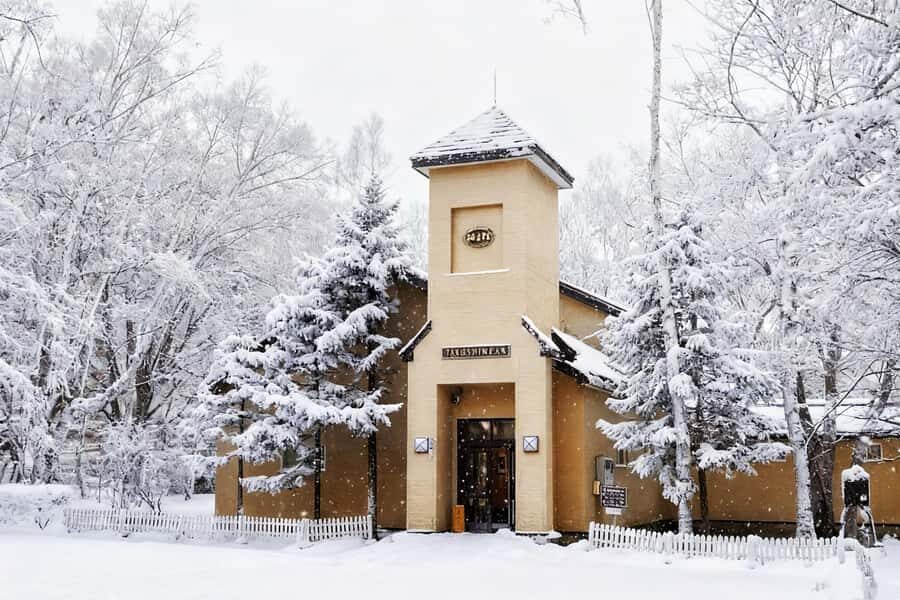 Hokkaido Asahiyama Zoo& Biei Blue pond Tour with Local Guide - Price and value: what $69 buys you (and what it doesn’t)