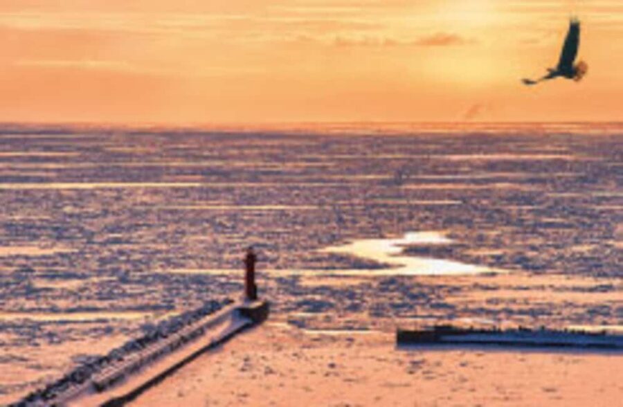 Hokkaido Asahiyama Zoo, Icebreaker GARINKO GO Sunset Tour - GARINKO GO III icebreaker cruise: what you’ll see and how to watch