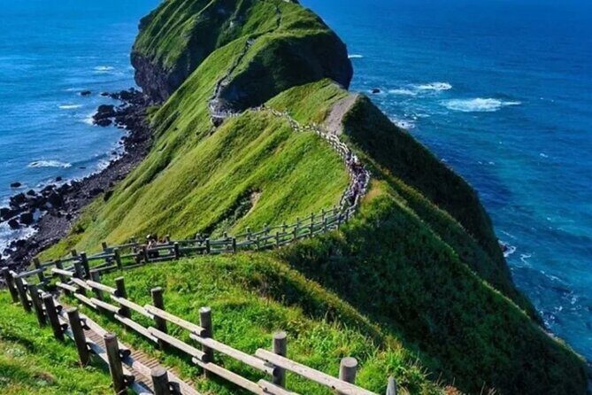 Hokkaido Cape Kamui Shimamui Coast Otaru Day Tour from Sapporo - Key highlights worth your attention