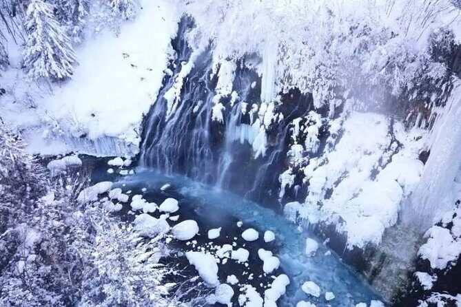 Hokkaido Day Tour from Sapporo: Asahiyama Zoo, Blue Pond Japan - Shirahige Falls and Ningle Terrace: White Beard Water and a forest pause