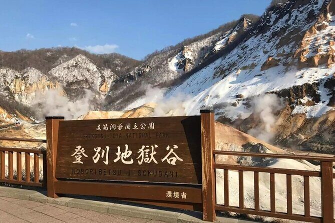 Hokkaido Day Tour from Sapporo: with Bear Park Option - Shōwa-shinzan and Mt. Usu Ropeway: Volcanic Terrain With Big Views