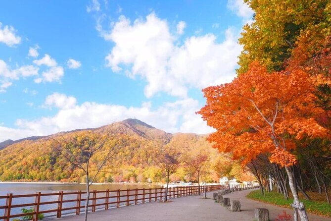 Hokkaido Day Tour from Sapporo: with Bear Park Option - Optional Noboribetsu Bear Park: Conservation Time in a Tight Window