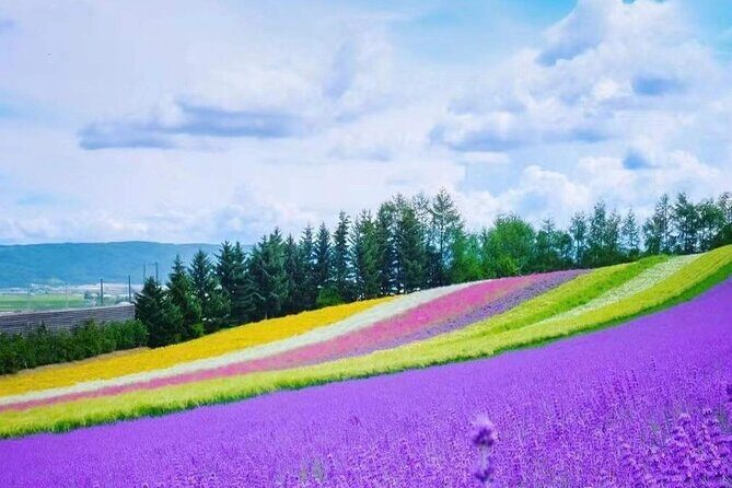 Hokkaido Farm Tomita Shikisai Hill Waterfall& Blue Pond Day Tour - Shirahige Falls and Shirogane Onsen: a calmer break