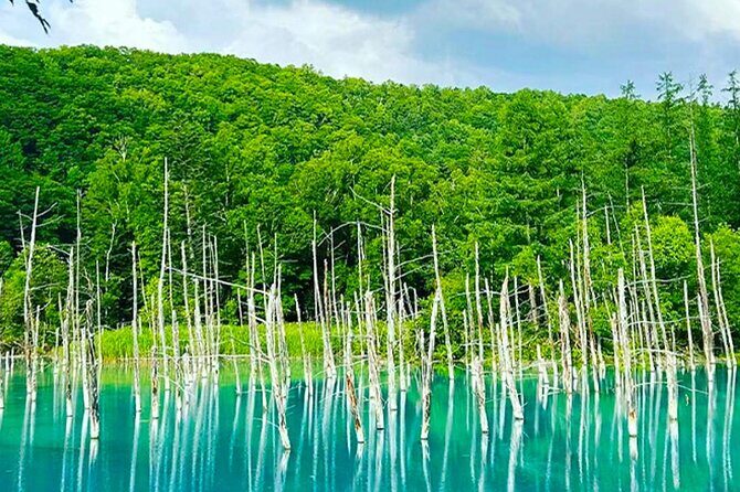 Hokkaido Farm Tomita Shikisai Hill Waterfall& Blue Pond Day Tour - What to pack for a smooth day: snacks, layers, and photo-ready habits