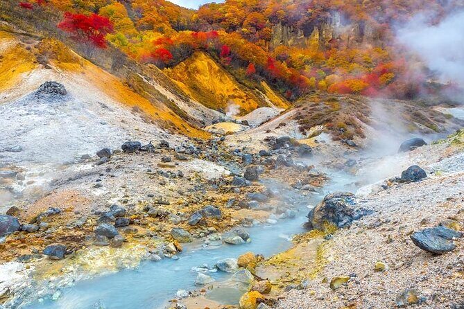 Hokkaido: Lake Toya, Bear Ranch and Sapporo Otaru Full Day Tour - Bear Ranch at Lake Toya: ticketed bear time with quick choices