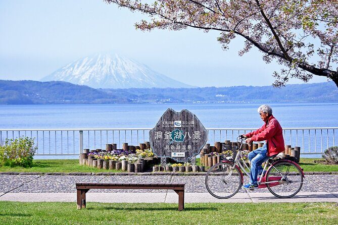Hokkaido: Lake Toya, Bear Ranch and Sapporo Otaru Full Day Tour - Price and value: when $85.66 makes sense (and when it doesn’t)