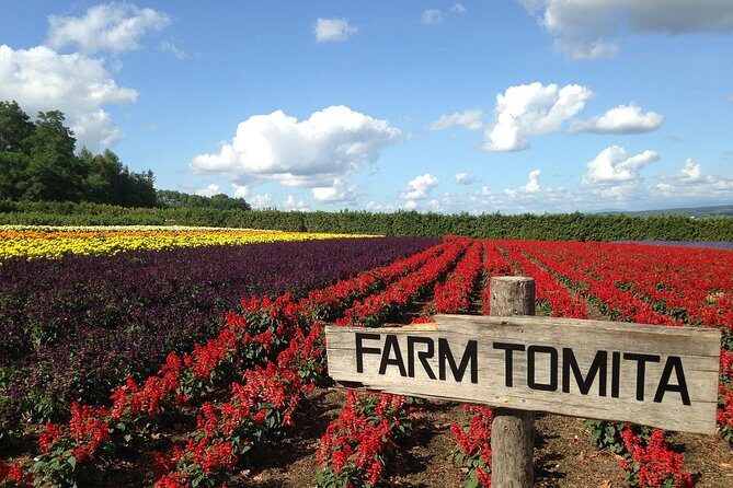 Hokkaido Private Car Service – Toyota Alphard with Driver - Furano and Biei Flower Day: From Tomita Farm to Blue Pond