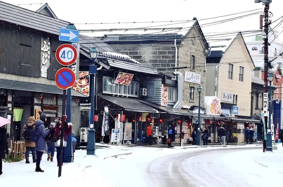 Hokkaido, Sappro, Otaru & Cape Kamui One-day Tour - Price and value: what you’re paying for at $66 per person
