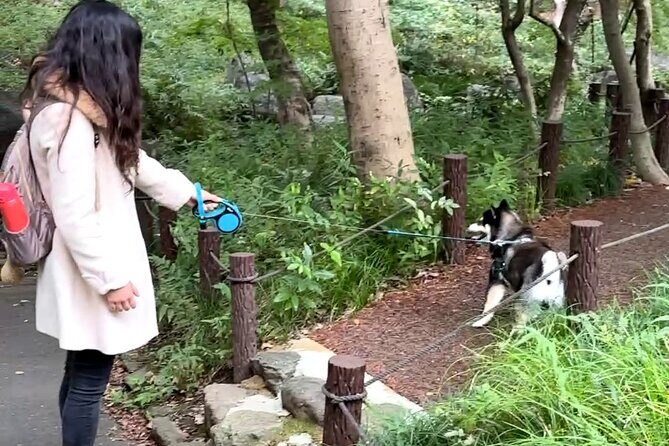 Home Cooking with a Local Host (Optional Shiba Inu Picnic) - The Walk to the Picnic and Why Shrines Make It Feel Different