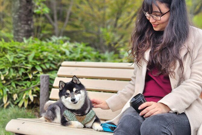 Home Cooking with a Local Host (Optional Shiba Inu Picnic) - The 10:00 Start at Iidabashi and How the Timing Works