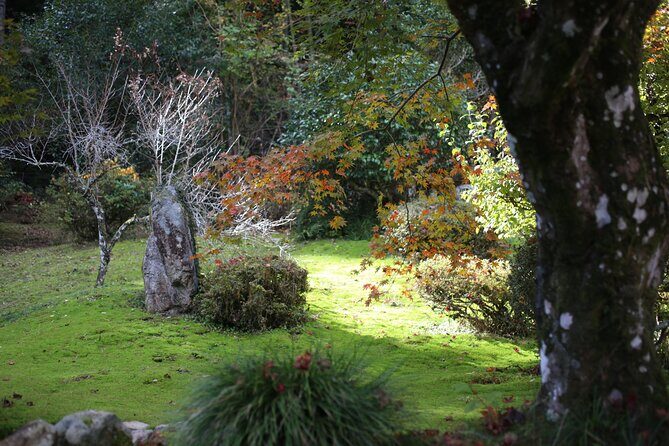 Home Experience: Tea Ceremony & Moss Garden Walk(Day trip) - Lunch You Cook Together: Why This Meal Feels Like the Point