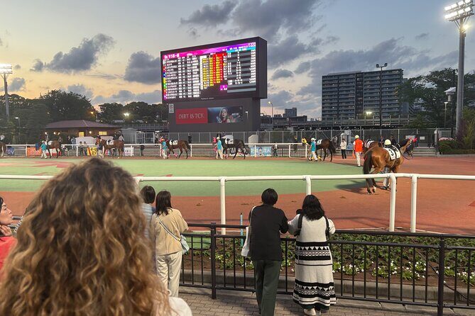 Horse Racing Tour with Local Fans in Tokyo, Oi Racecourse - Key highlights you’ll feel immediately