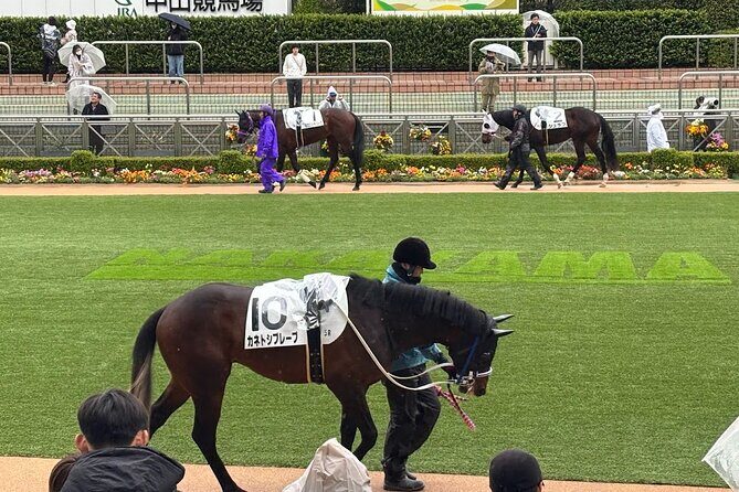 Horse Racing Tour with Local Fans in Tokyo, Oi Racecourse - A Simple Japanese Horse Racing Primer: Rules, Predictions, and Betting Help