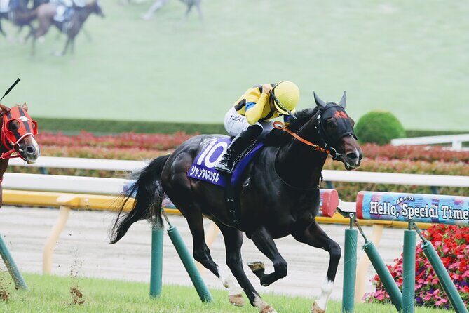 Horse Racing Tour with Local Fans in Tokyo, Oi Racecourse - Betting Like a Local: Cash Yen, Minimum Wagers, and Common Mistakes