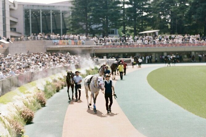 Horse Racing Tour with Local Fans in Tokyo, Oi Racecourse - Should You Book This Horse Racing Tour at Oi Racecourse?