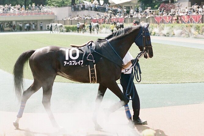 Horse Racing Tour with Local Fans in Tokyo Racecourse - Premium Drinks and Japanese Street Food: Plan for What You Buy