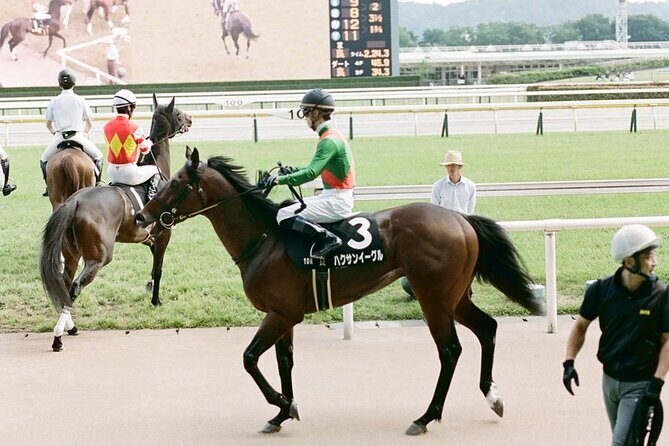 Horse Racing Tour with Local Fans in Tokyo Racecourse - Price and Value: What $100 Really Buys