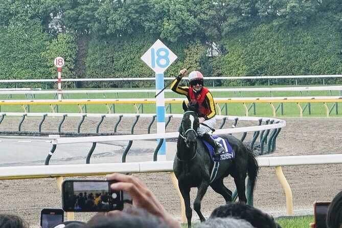 Horse Racing Tour with Local Fans in Tokyo Racecourse - Paddock Time and Watching How Fans Really React