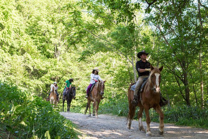 Horseback-Riding in a Country Side in Sapporo - Private Transfer is Included - Entering Mustang Town: the lesson before the trail