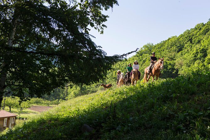 Horseback-Riding in a Country Side in Sapporo - Private Transfer is Included - On the saddle: orchards, forest, and that 8-peak view