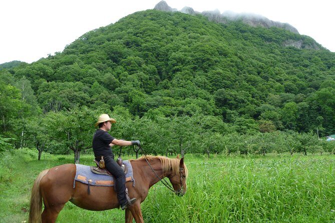 Horseback-Riding in a Country Side in Sapporo - Private Transfer is Included - How the 40-minute drive shapes your timing