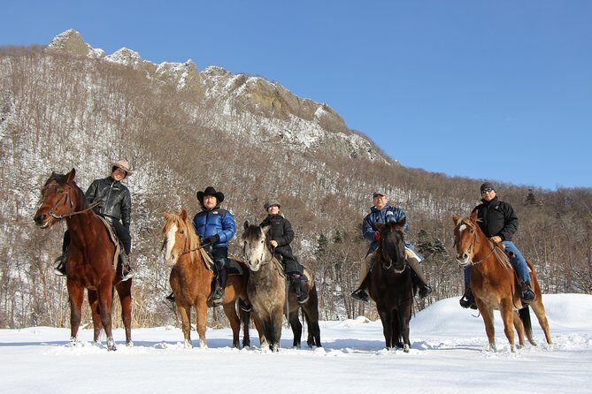 Horseback-Riding in a Country Side in Sapporo - Private Transfer is Included - Price and value: what $187.11 buys you here