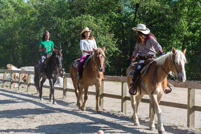 Horseback-Riding in a Country Side in Sapporo - Private Transfer is Included - Should you book this horseback ride?