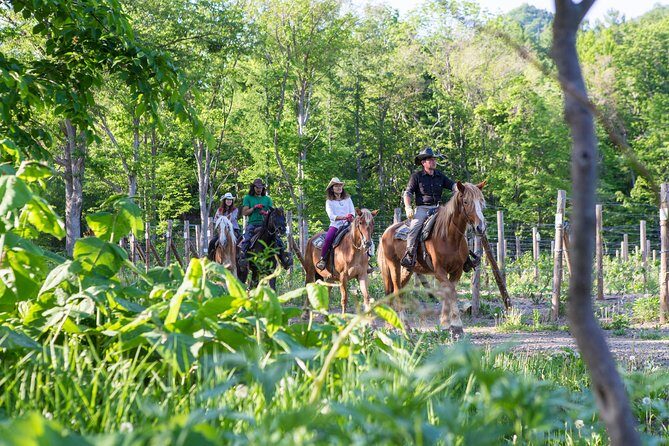 Horseback-Riding in a Country Side in Sapporo - Private Transfer is Included - The Sheriff’s safety talk: how control actually works on horseback