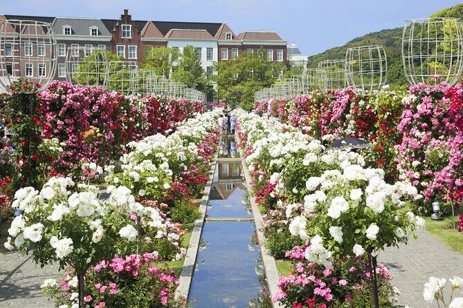 Huis Ten Bosch Full Day Bus Tour From Hakata - Huis Ten Bosch Illumination: How to Pick the Right Return Time