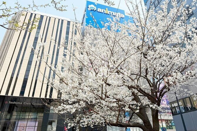 Ikebukuro Anime and Game Culture Experience Tour - Ikebukuro in 3 hours: the smart, small-group way to see the scene