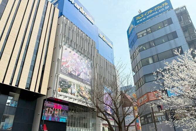 Ikebukuro Anime and Game Culture Experience Tour - Mikado Game Center: retro arcade fun with real “1980s/90s” energy
