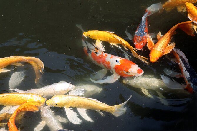 Imperial Palace East Garden and Edo Castle Walking Tour in Tokyo - Price and value: $25 for guided history on free grounds