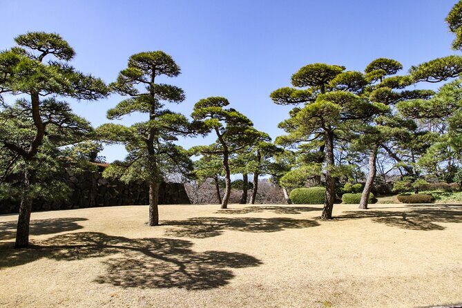 Imperial Palace to Tokyo Station Historical Walking Tour - Honmaru and Kokyo Gaien: palace center to postcard views