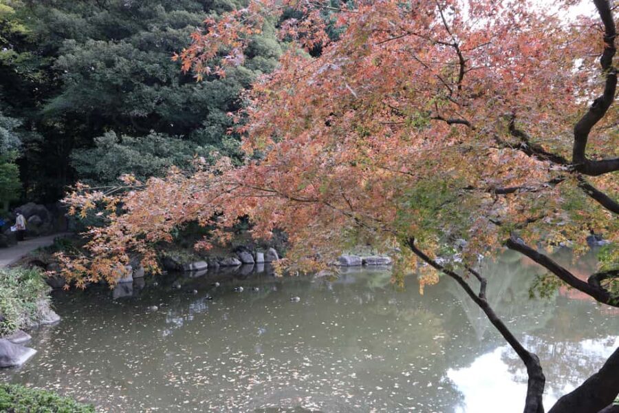 Imperial Palace Tour: Discover Samurai History with a Guide - Price and Value: Is $24 Worth It in Tokyo?