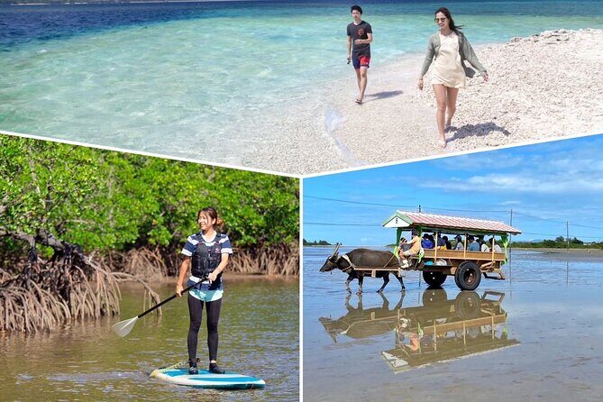 Iriomote 1 Day Mangrove SUP/Canoe, Barasu Island & Yubu Island - Who this suits best (and who should skip)