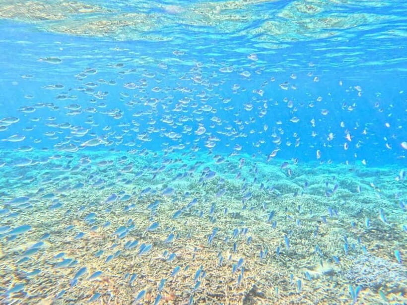 Iriomote: Boat Snorkeling Tour at Barasu Island - Gear and comfort: wetsuits, safety kit, and the hot shower