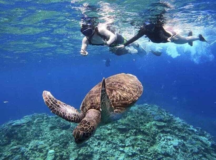 Iriomote: Boat Snorkeling Tour at Barasu Island - How to make the half-day plan work with the rest of your island day