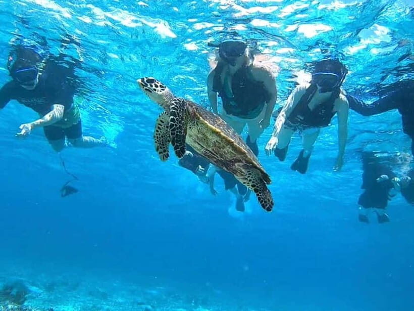 Iriomote: Boat Snorkeling Tour at Barasu Island - Sustainability: eco-friendly snorkeling isn’t just a buzzword here